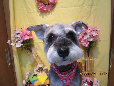 ファイル 7434-1.jpg