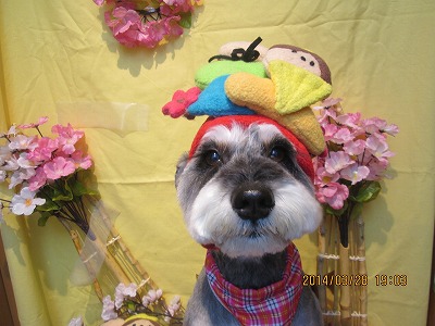 ファイル 7434-2.jpg