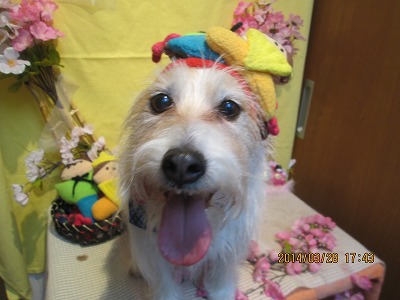 ファイル 7435-1.jpg