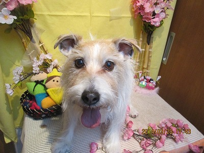 ファイル 7435-2.jpg