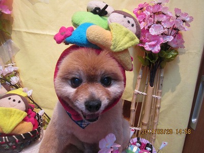 ファイル 7437-2.jpg