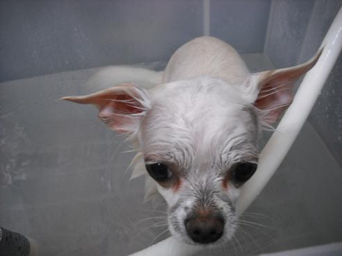 ファイル 744-2.jpg