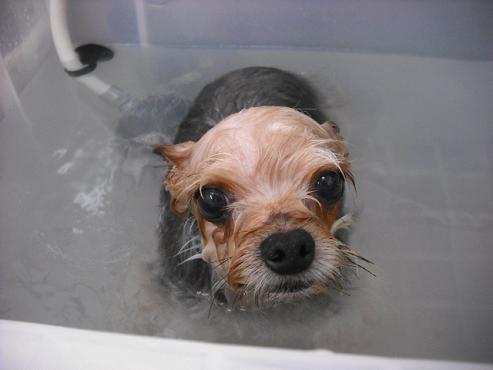 ファイル 745-2.jpg