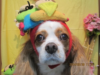 ファイル 7458-2.jpg