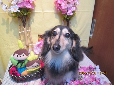 ファイル 7459-1.jpg