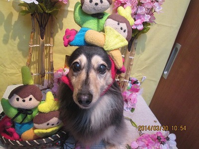 ファイル 7459-2.jpg