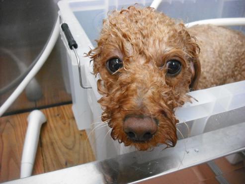 ファイル 746-2.jpg