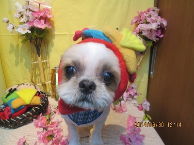 ファイル 7460-2.jpg