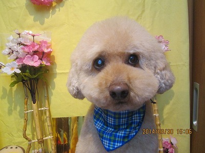 ファイル 7463-1.jpg