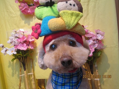 ファイル 7463-2.jpg