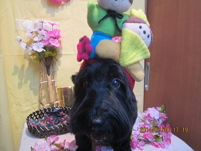 ファイル 7465-1.jpg