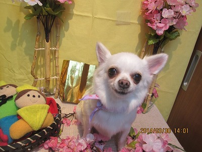 ファイル 7466-1.jpg