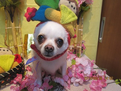 ファイル 7466-2.jpg