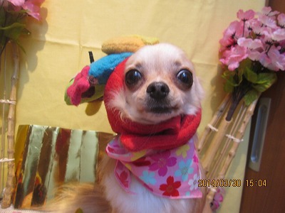 ファイル 7467-2.jpg