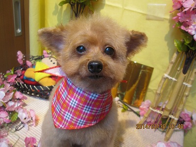 ファイル 7469-2.jpg