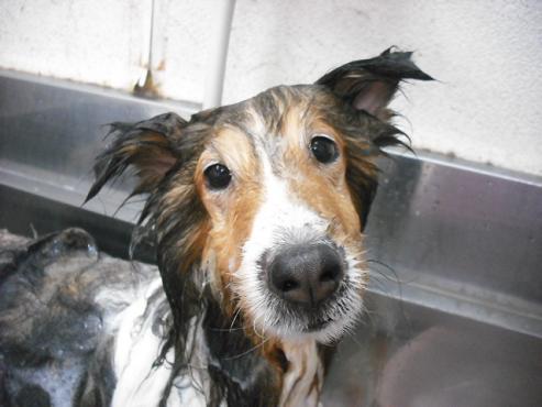 ファイル 747-2.jpg