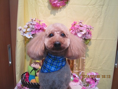 ファイル 7470-1.jpg