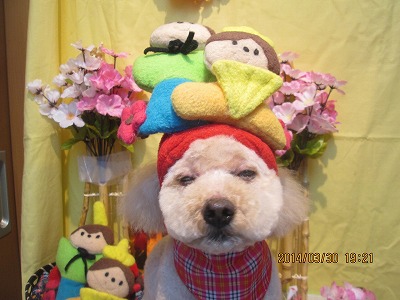 ファイル 7471-2.jpg