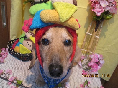 ファイル 7472-2.jpg