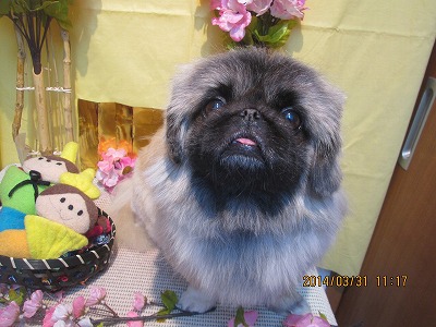 ファイル 7473-1.jpg