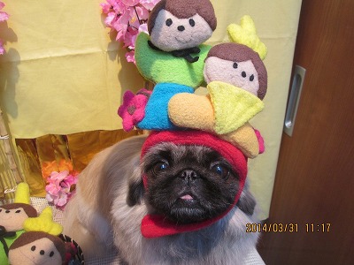 ファイル 7473-2.jpg