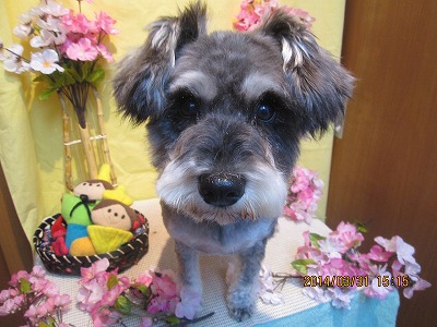 ファイル 7474-1.jpg