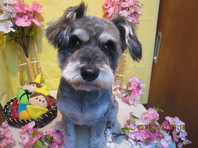 ファイル 7474-2.jpg