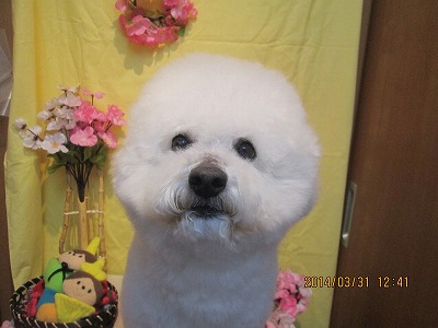 ファイル 7475-1.jpg