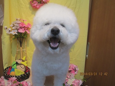 ファイル 7475-2.jpg