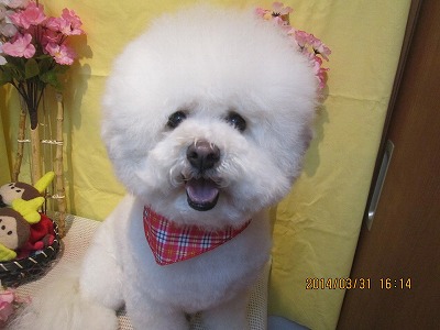 ファイル 7476-1.jpg