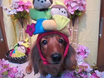 ファイル 7477-2.jpg