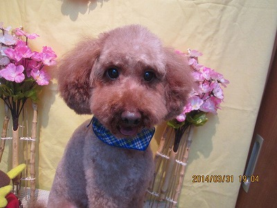 ファイル 7478-1.jpg