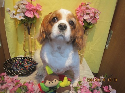 ファイル 7479-1.jpg