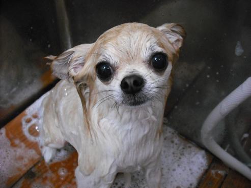 ファイル 748-2.jpg