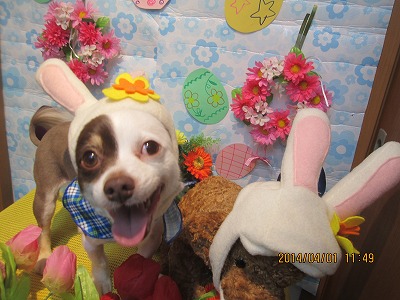 ファイル 7480-2.jpg