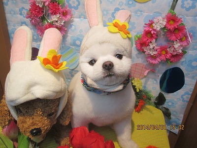 ファイル 7481-2.jpg