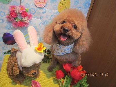 ファイル 7482-2.jpg