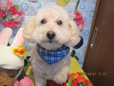 ファイル 7483-1.jpg