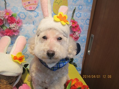 ファイル 7483-2.jpg