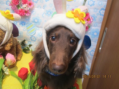 ファイル 7484-2.jpg