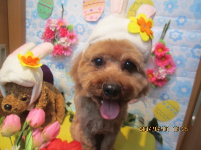 ファイル 7485-2.jpg