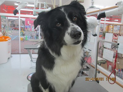 ファイル 7486-1.jpg