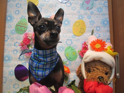 ファイル 7487-1.jpg