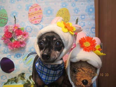 ファイル 7487-2.jpg