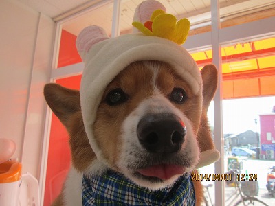 ファイル 7488-2.jpg