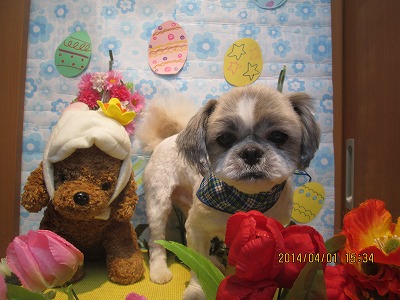 ファイル 7489-1.jpg