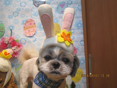 ファイル 7489-2.jpg