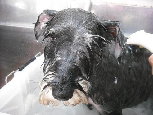 ファイル 749-2.jpg