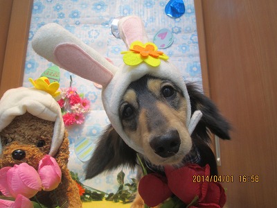 ファイル 7490-2.jpg