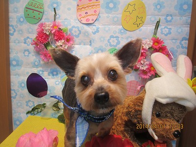 ファイル 7491-1.jpg